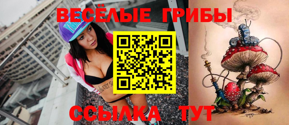Галлюциногенные грибы Psilocybine cubensis  Вход с VPN  Звенигород 